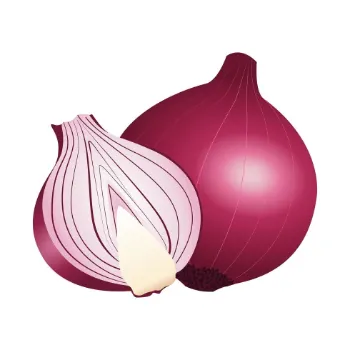 Onion (10)-1162029-36923.webp